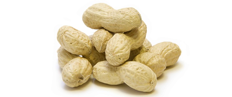 {short description of image}