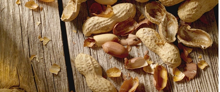 {short description of image}